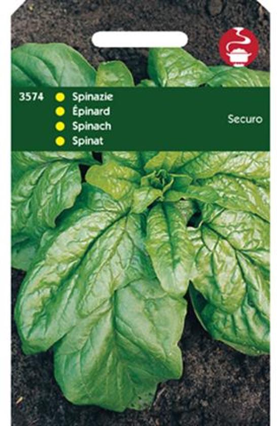 Spinat Securo (Spinacia oleracea) 3500 Samen HT
